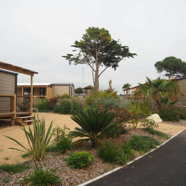 Aménagement camping - BONNAMY TP